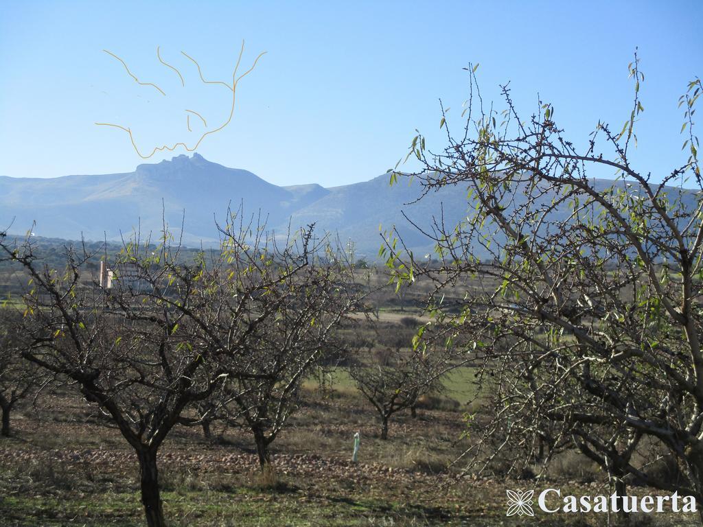 Casa Tuerta Villa Alcalá de Moncayo Екстериор снимка